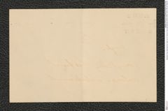 Nachlass Franz Steindachner, Brief von N. Post an Franz Steindachner (08.08.1905), Inv.Nr. 404.02, Seite 22